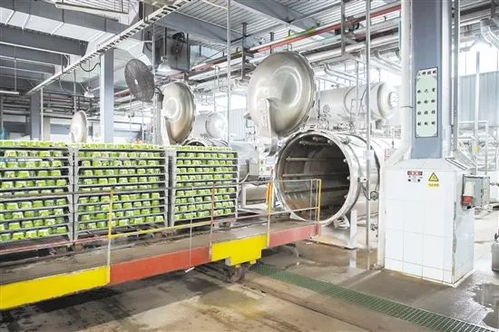 產(chǎn)值創(chuàng)歷史新高 江門這家企業(yè)堅持走專精特新之路,打造行業(yè) 尖兵