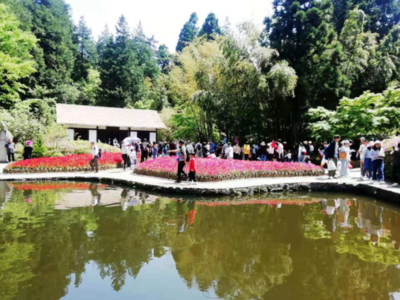 小長假前三天，廬山游客接待量創今年新高，景區管理舉措成效顯著